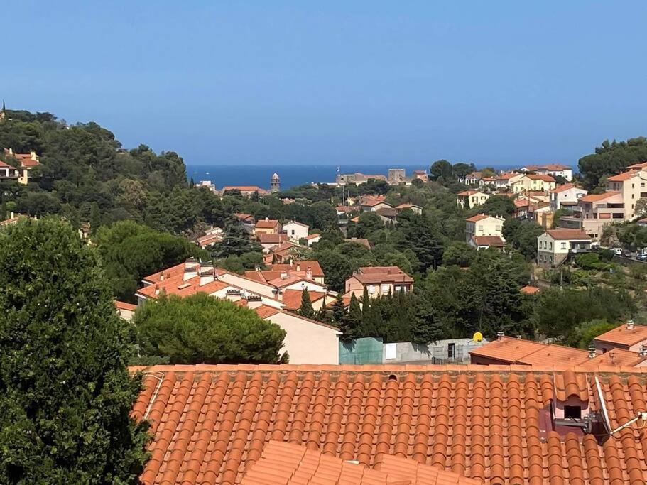 Collioure, Le Village Prefere Des Francais Apartment *